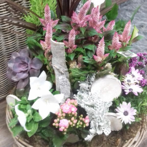 Deuil-Panier-Plantes-Althea-Fleurs (1)